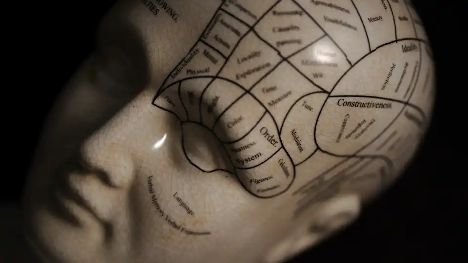 Phrenology statue with markings.